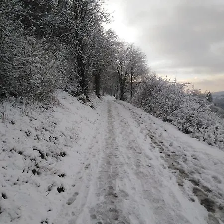 شقة Marktstube مرسبورغ