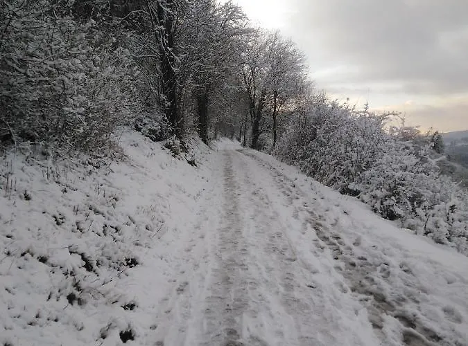 Lejlighed Marktstube Marsberg